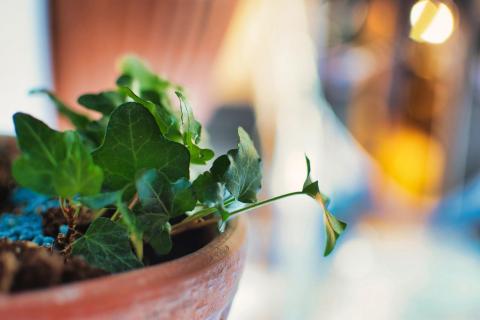 Factory Hostels Barcelona