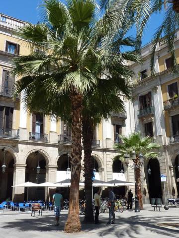 Roma Reial